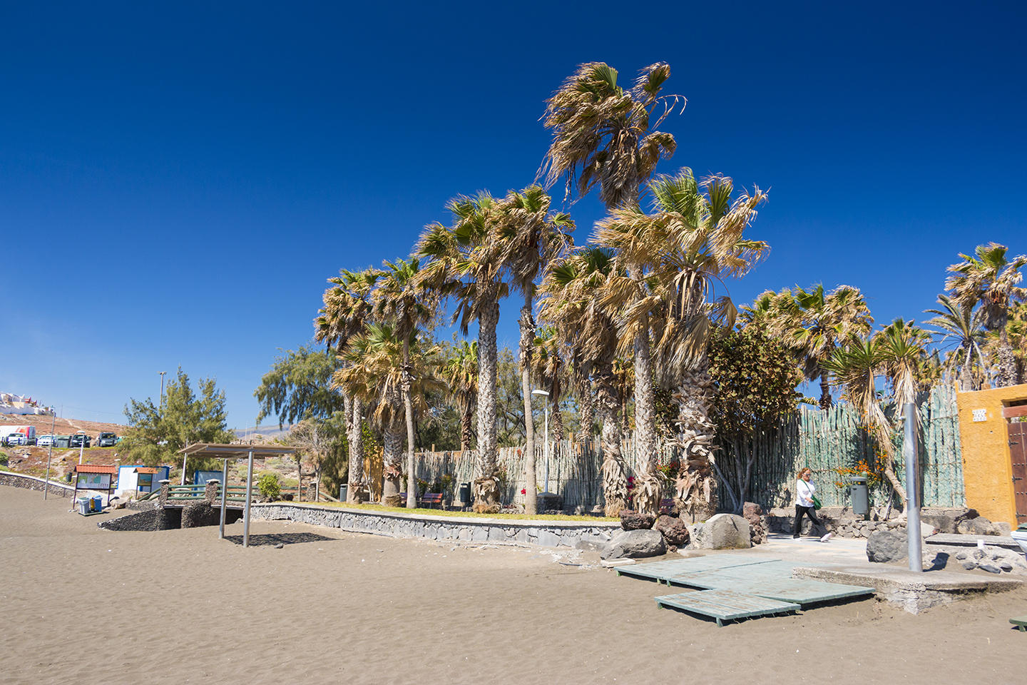 Hoya del Pozo beach with palm trees