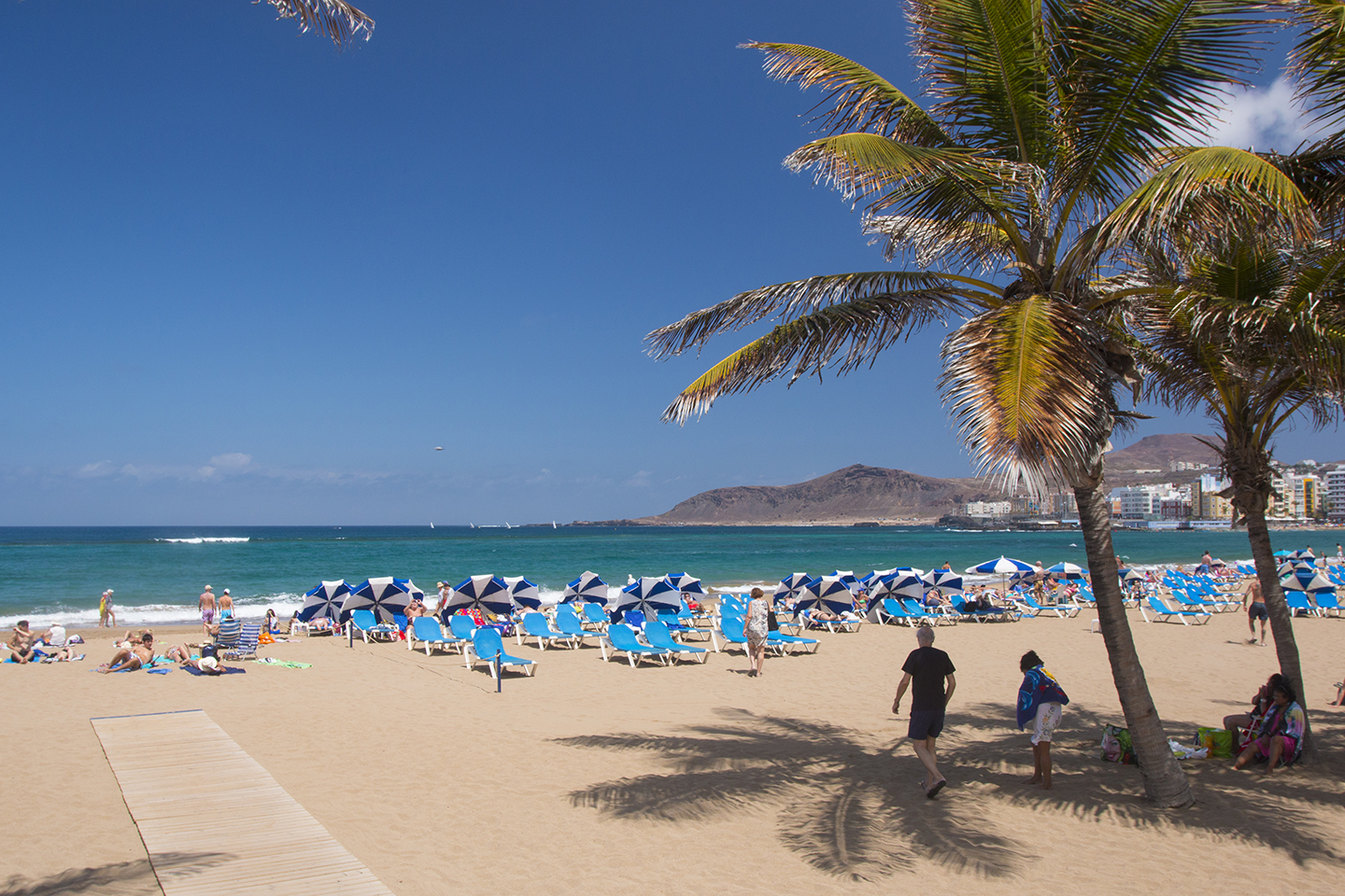 Sitting in the shade of Las Canteras' coconut palm trees