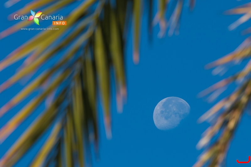 The moon over Gran Canaria_20