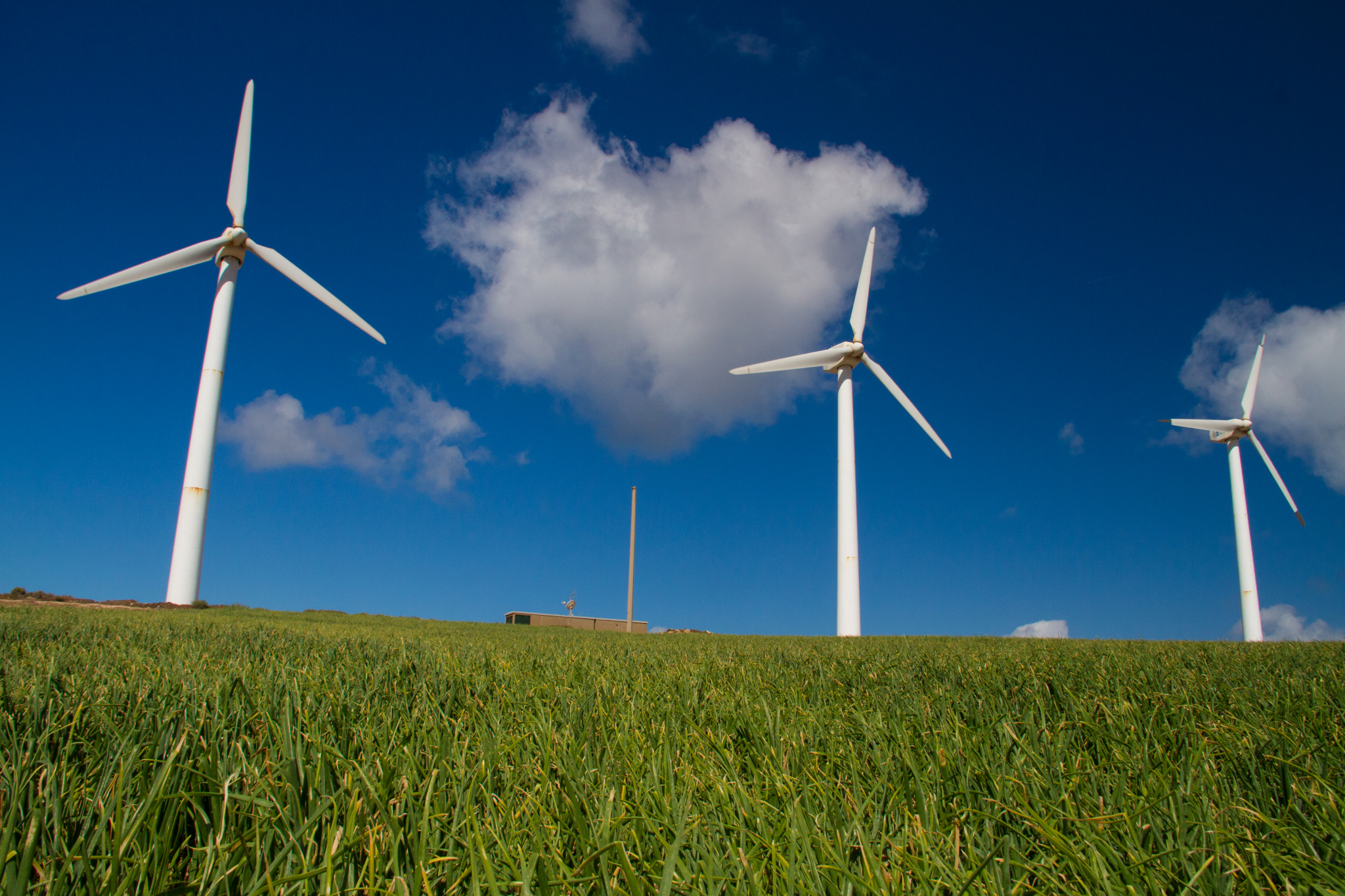 Windmills Agaete 012