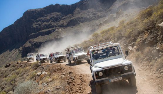 jeep safari experience