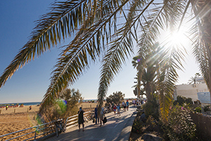 Maspalomas lagoon on the way to the beach