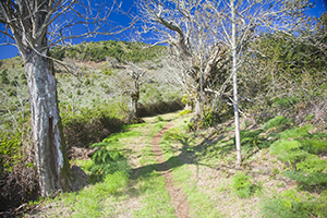 Finca de Osorio estate close to Teror town