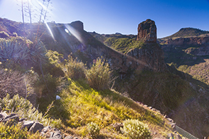 Roque Palmes rock in the Gran Canaria highlands