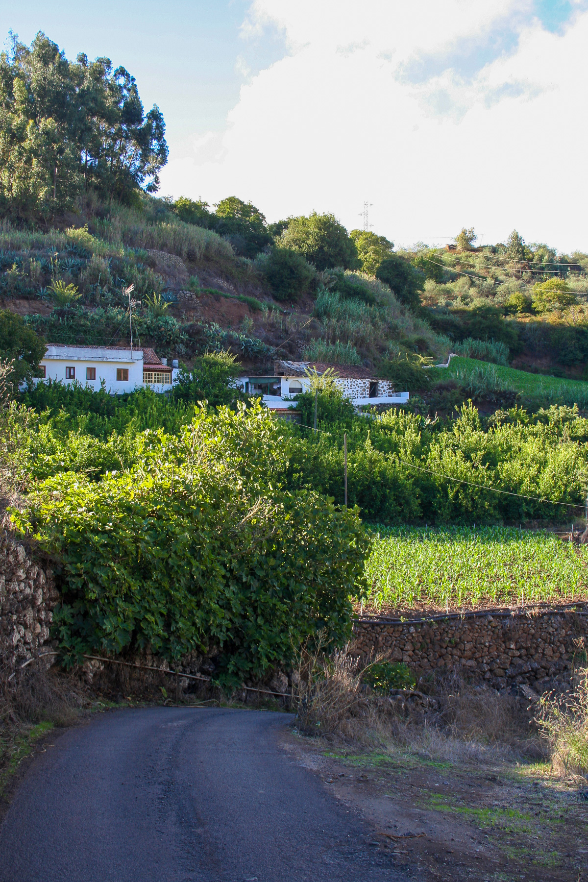 barranco del laurel 0001