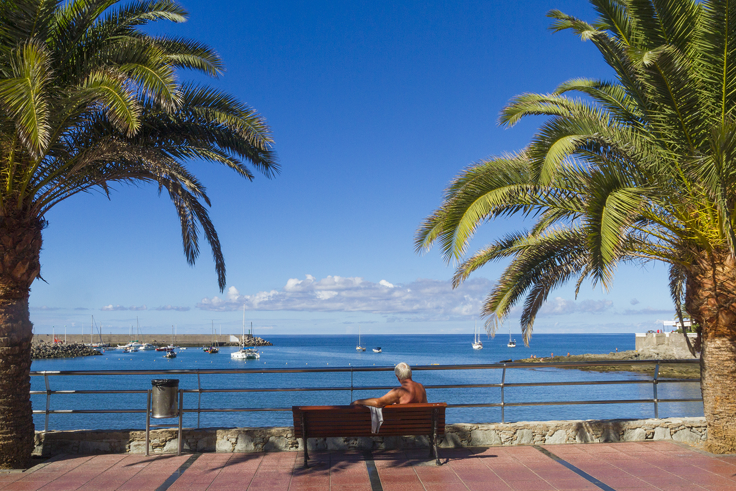 Palm trees make every day better, but especially Mondays