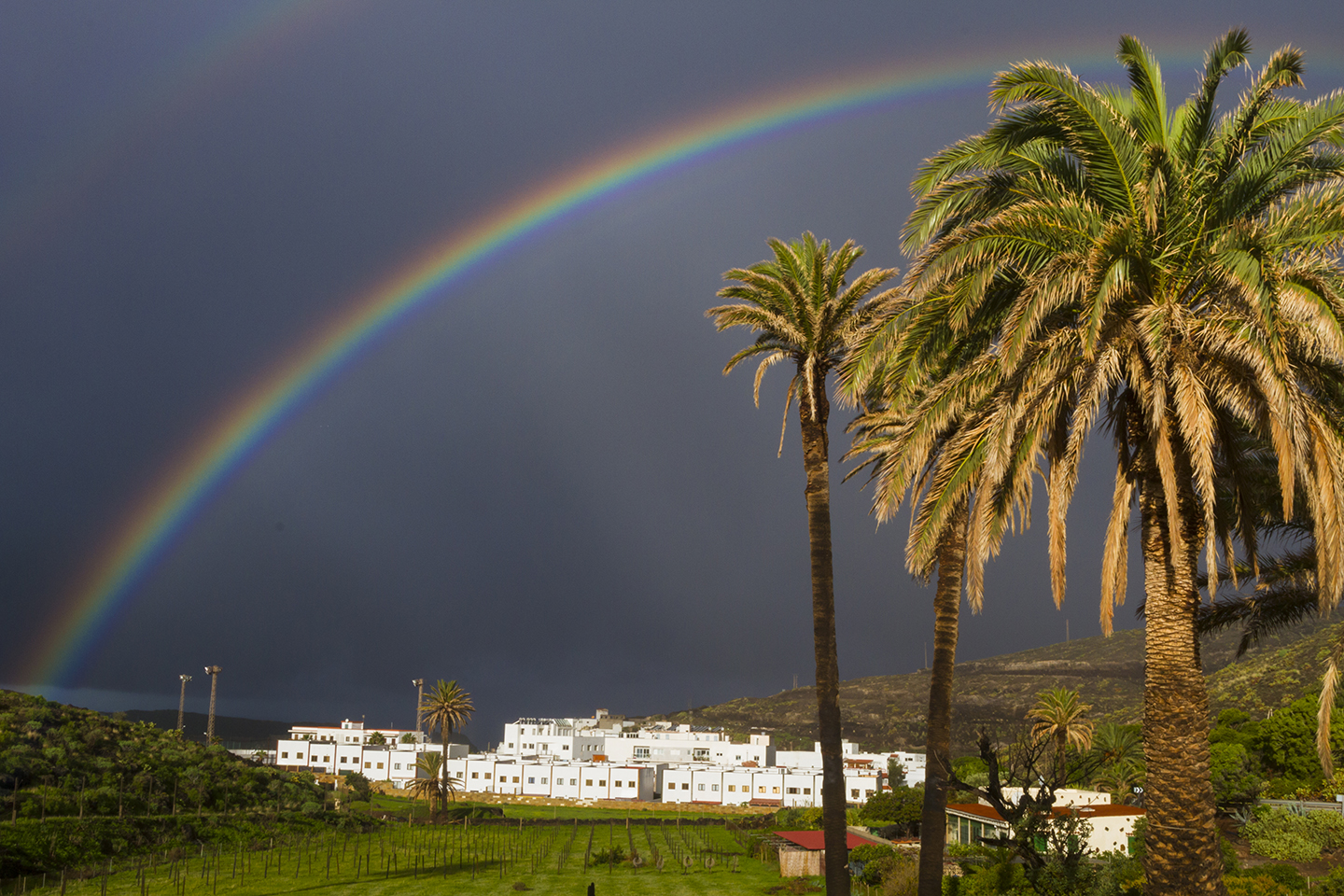 Agaete Valley rainbow and palms