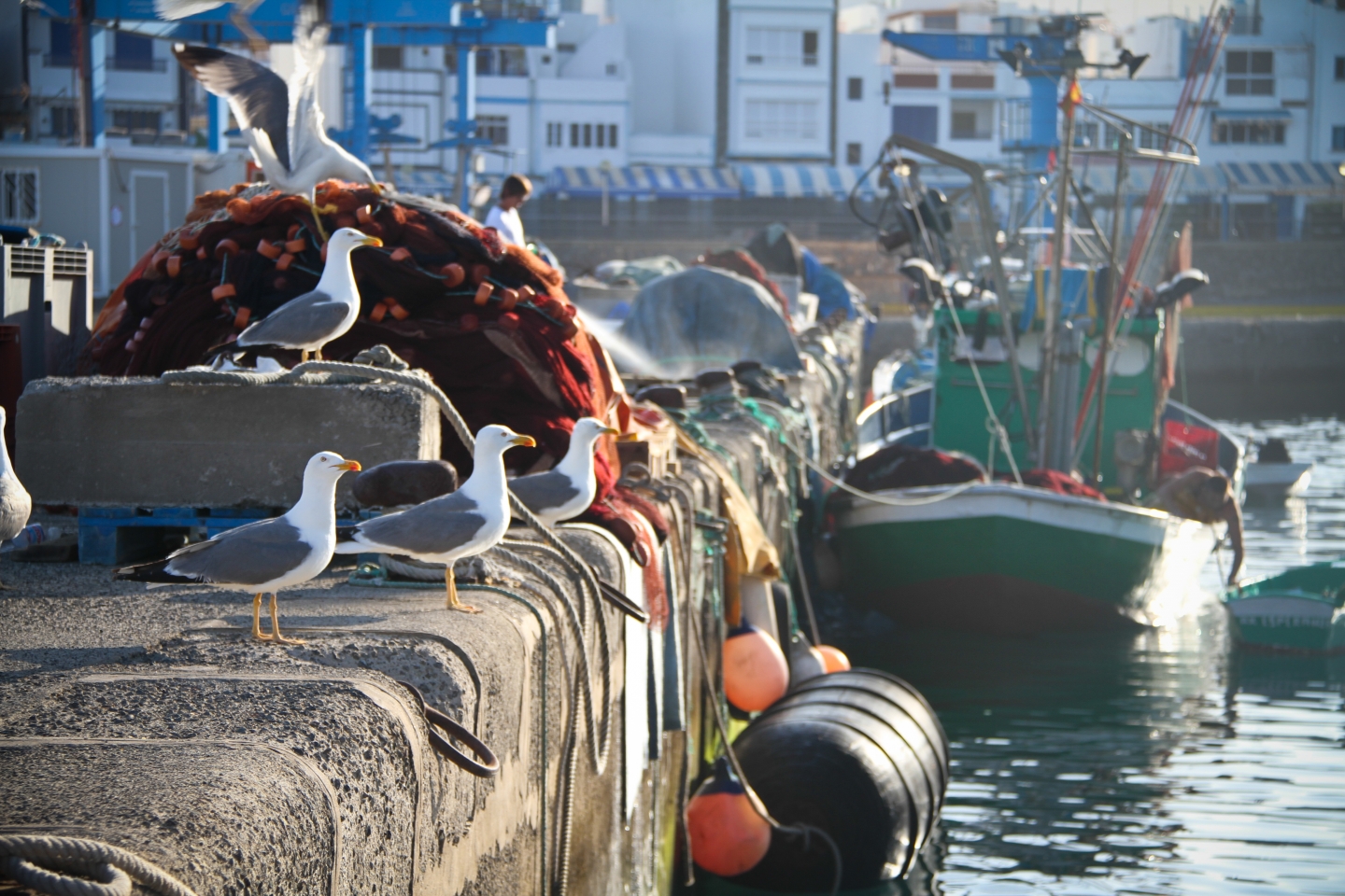 Puerto de las nieves harbour