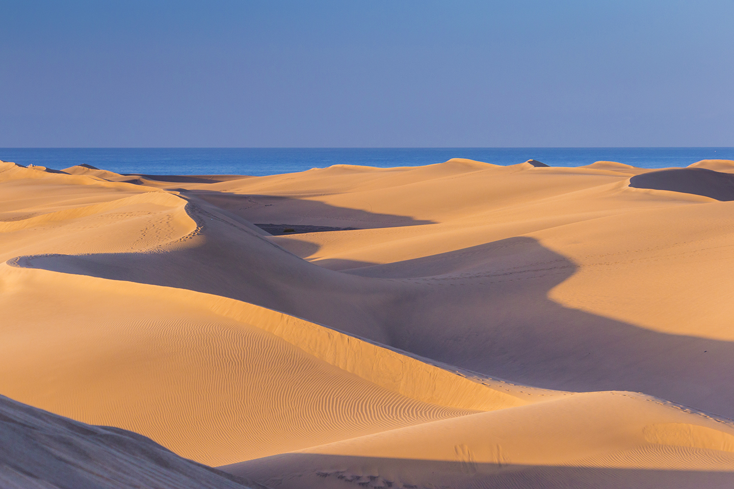 dune dawn