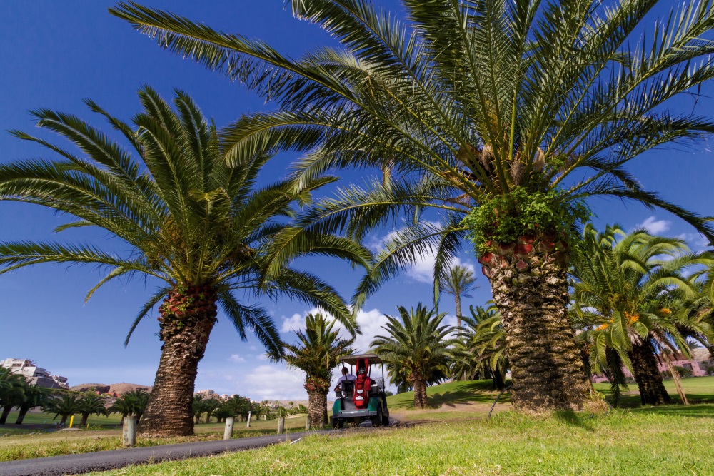 The Salobre Golf Arizona-style course