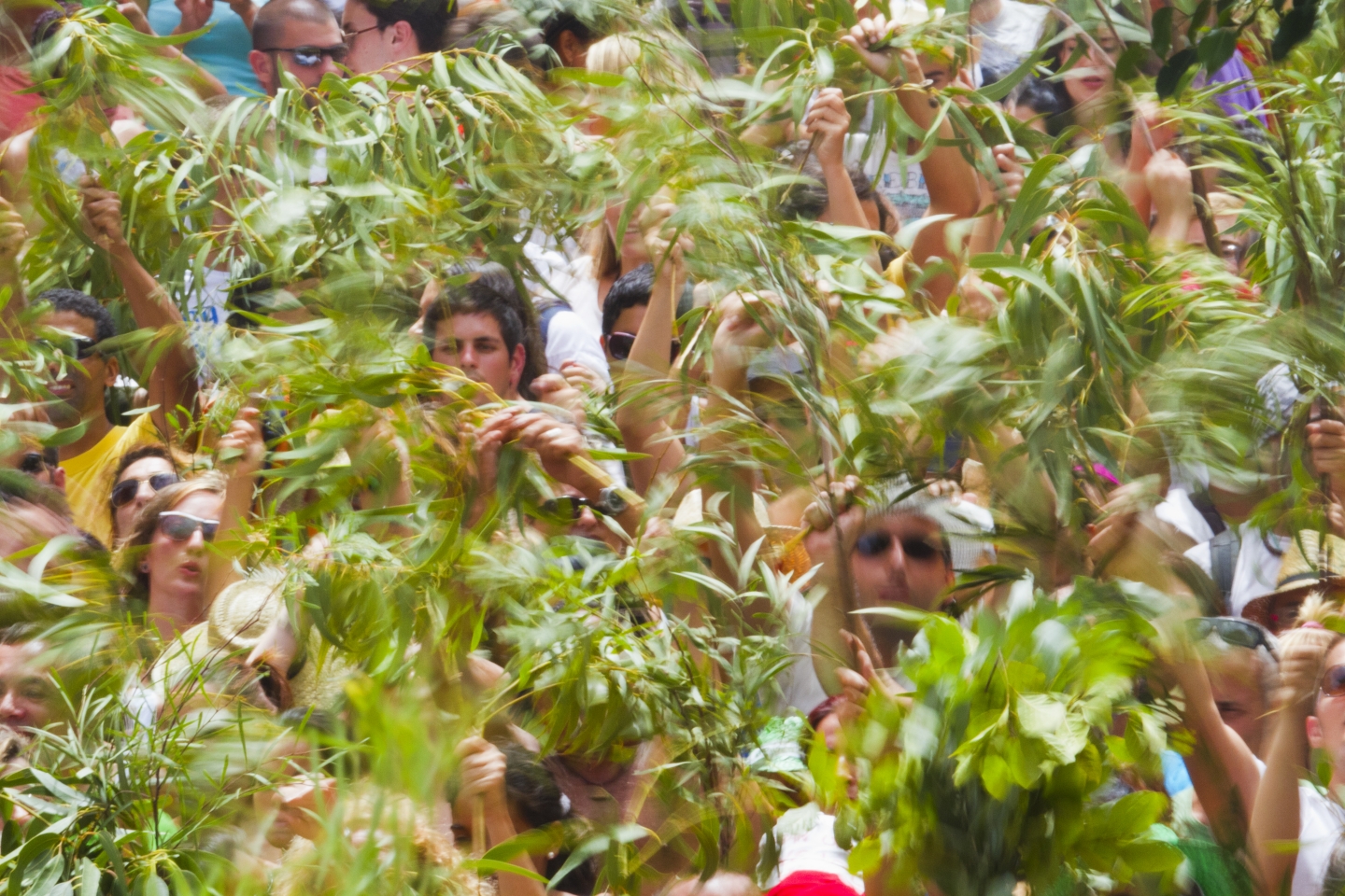 La Rama fiesta in Agaete, Gran Canaria
