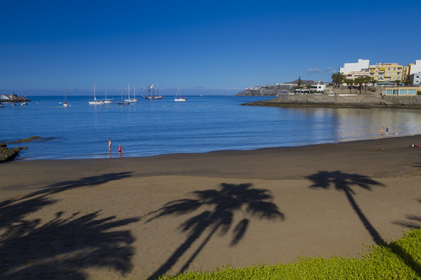 Palm tree shadows on Arguineguin's Las Marañuelas beach