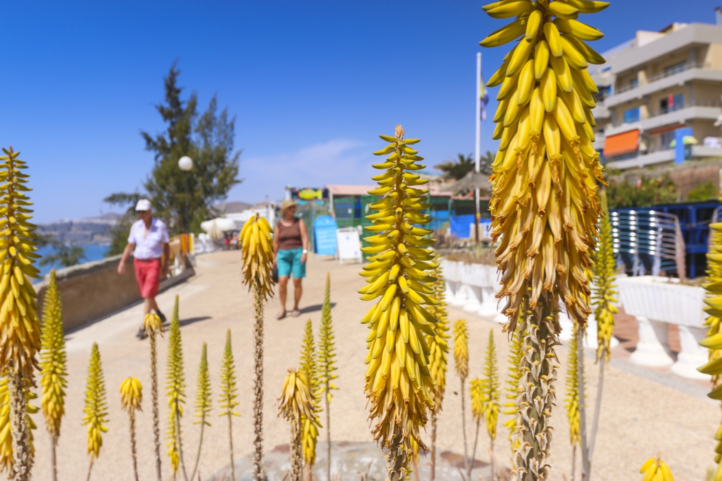 Arguineguin seafront promenade