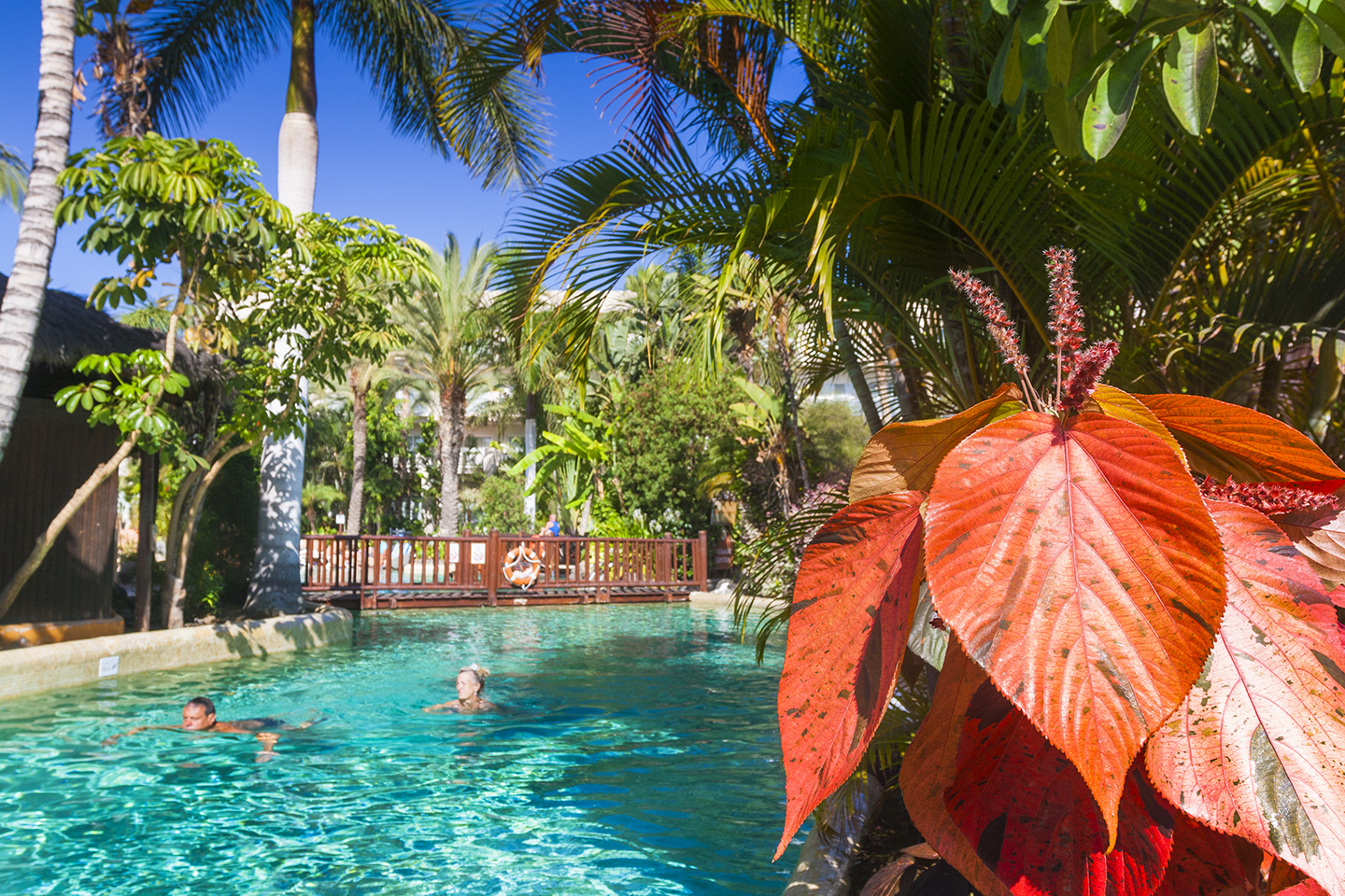 Maspalomas & Tabaiba Princess swimming pool 