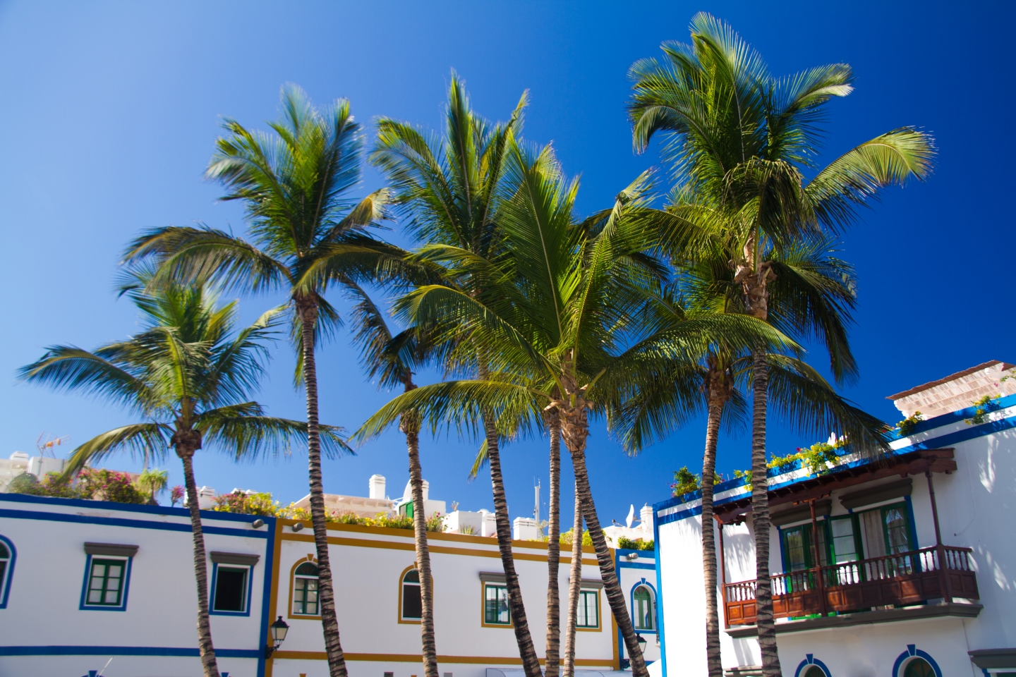 Puerto de Mogán in Gran Canaria 