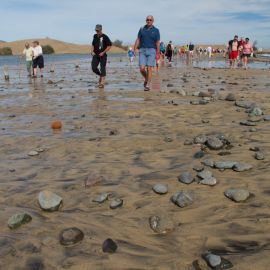 maspalomas_dunes_and_beach_-_febr_2011_-015