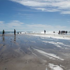 maspalomas_dunes_and_beach_-_febr_2011_-020