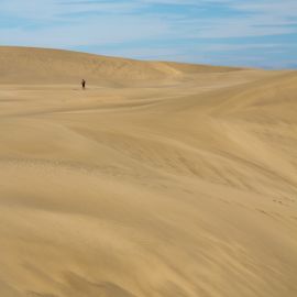 maspalomas_dunes_and_beach_-_febr_2011_-044
