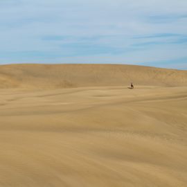 maspalomas_dunes_and_beach_-_febr_2011_-046