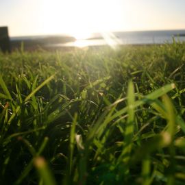 Playa de Amadores