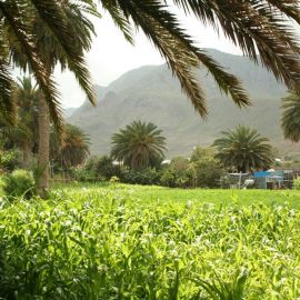 farm_at_the_mouth_of_the_agaete_valley