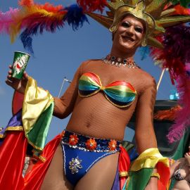 Maspalomas Gay Parade, 2009