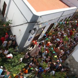 La Rama, 2008