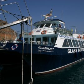 ferry-mogan-blue-bird-002