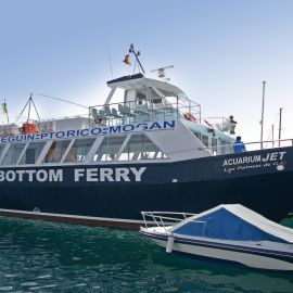 ferry-mogan-blue-bird-003