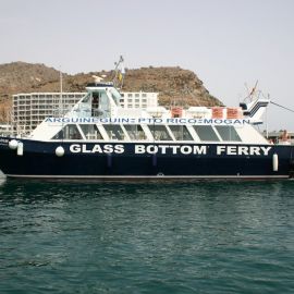 ferry-mogan-blue-bird-004