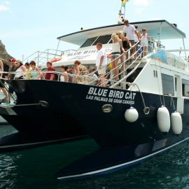 ferry-mogan-blue-bird-073