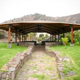 jardin_botanico_viera_y_clavijo-001