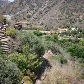 Jardín Botánico Viera y Clavijo