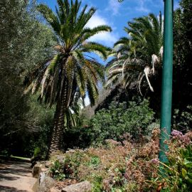 jardin_botanico_viera_y_clavijo-016