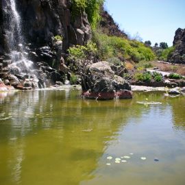 Jardín Botánico Viera y Clavijo