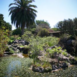 jardin_botanico_viera_y_clavijo-077