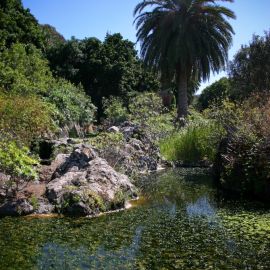 jardin_botanico_viera_y_clavijo-078