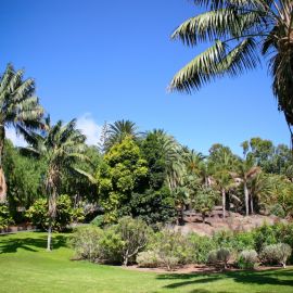 jardin_botanico_viera_y_clavijo-086