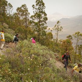 nortetrek-periodistas-alemanes-dia-1--051