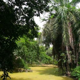 gambia-30