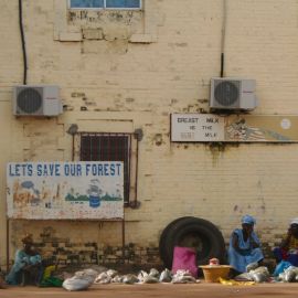 gambia-52