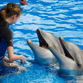 Dolphin show at Palmitos Park_7
