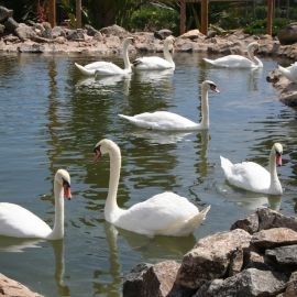 parque-norte-012