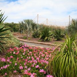 Parque Norte