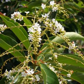 parque-norte-034