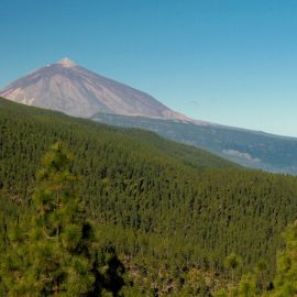 Tenerife