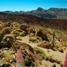 Tenerife