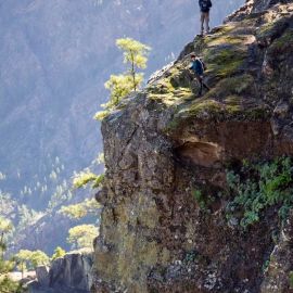 In On the trail of Helianthemum bystropogophyllum