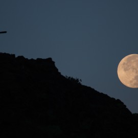 The moon over Gran Canaria_24