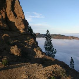 roque_nublo-020